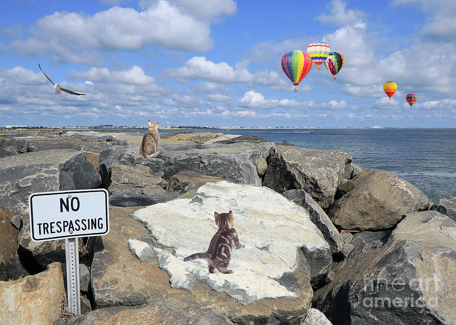 Best Seat In The House by Geoff Crego Best Seat In The House by Geoff Crego