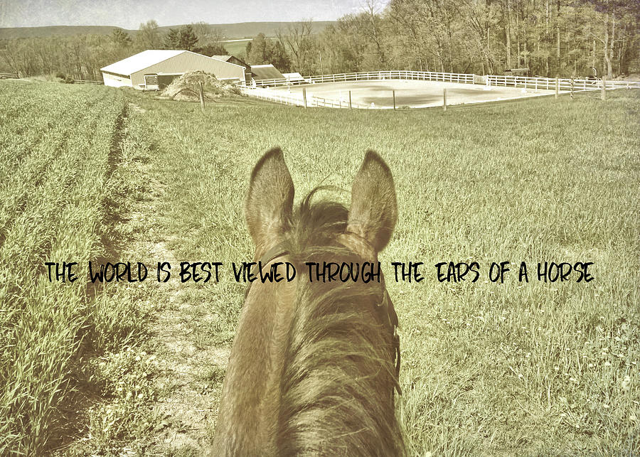 BEST VIEW quote Photograph by Dressage Design