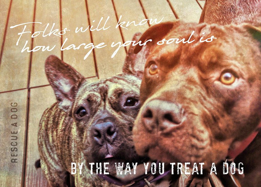 Dog Photograph - #BESTIES quote by Jamart Photography