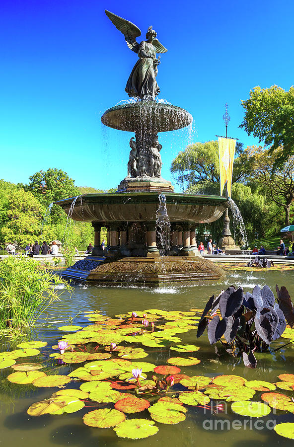 Bethesda Fountain Central Park New York City Photograph by John Rizzuto