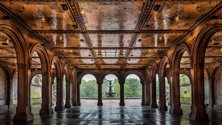 Bethesda Terrace Photograph by David Downs