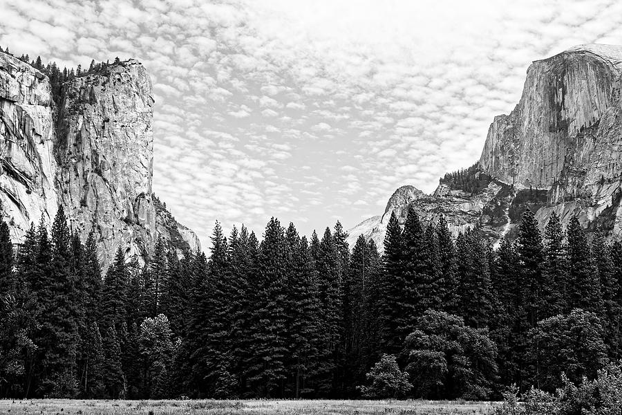 Between a Rock and a Hard Place -- Yosemite Valley in Yosemite National Park, California Photograph by Darin Volpe