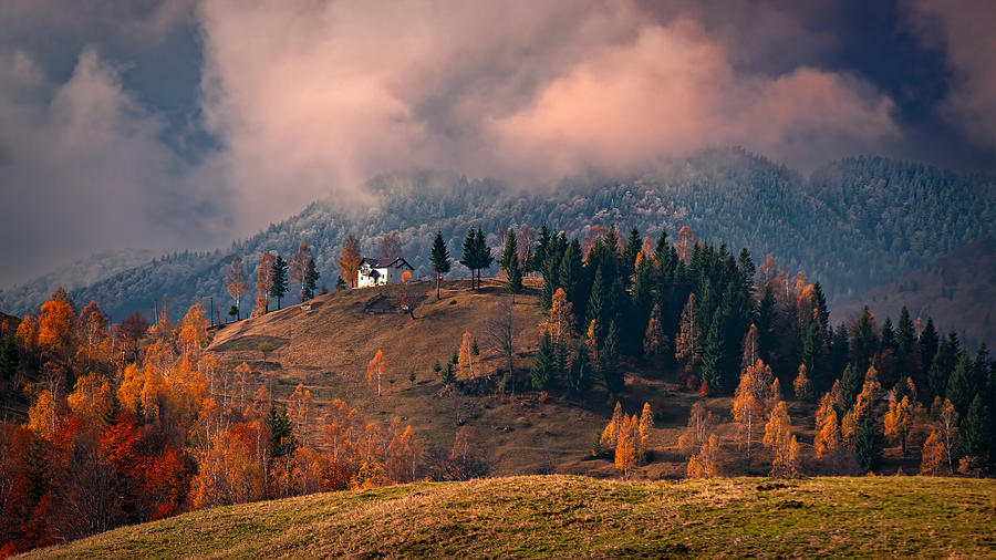 Between Autumn And Winter Photograph by Mihai Ian Nedelcu