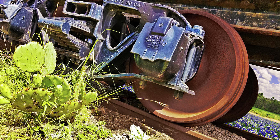 Train Photograph - Between Bluebonnets and a Cactus by Anthony Scarpace
