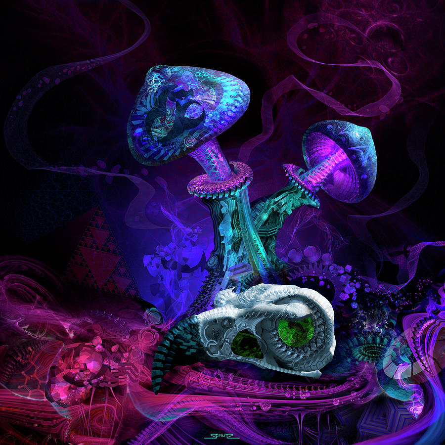Mushroom Painting - Between Dimensions by Mushroom Dreams Visionary Art