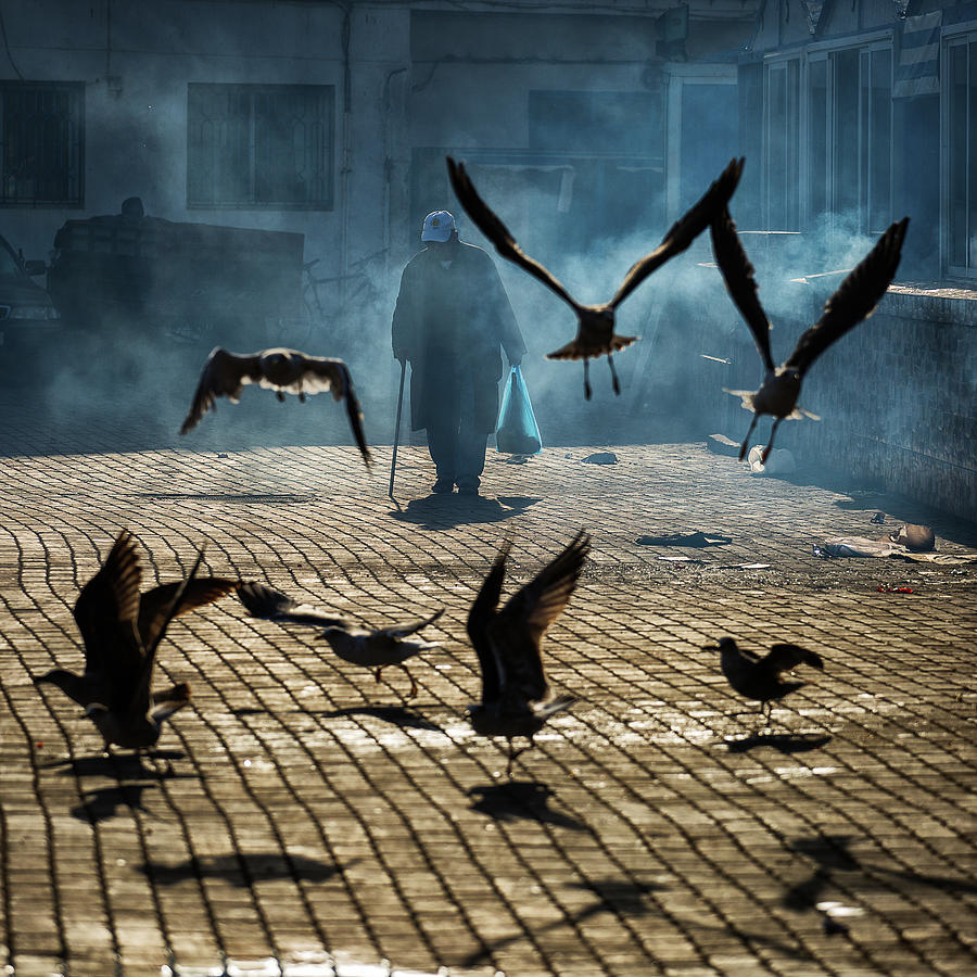 Bird Photograph - Between Hell And Heaven by Dan Mirica