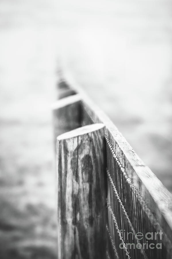 Between Me, You and the Fence Post Photograph by Kathy Sherbert