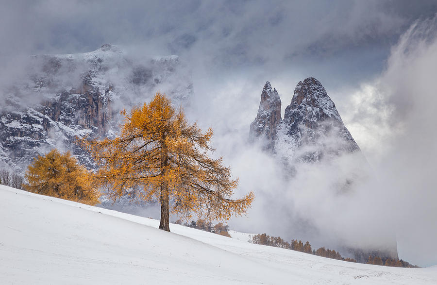 Between Seasons Photograph by Lazar Ioan Ovidiu
