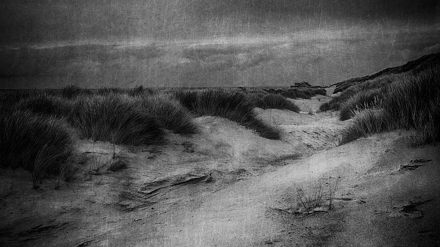 Between The Dunes Photograph by Greetje Van Son