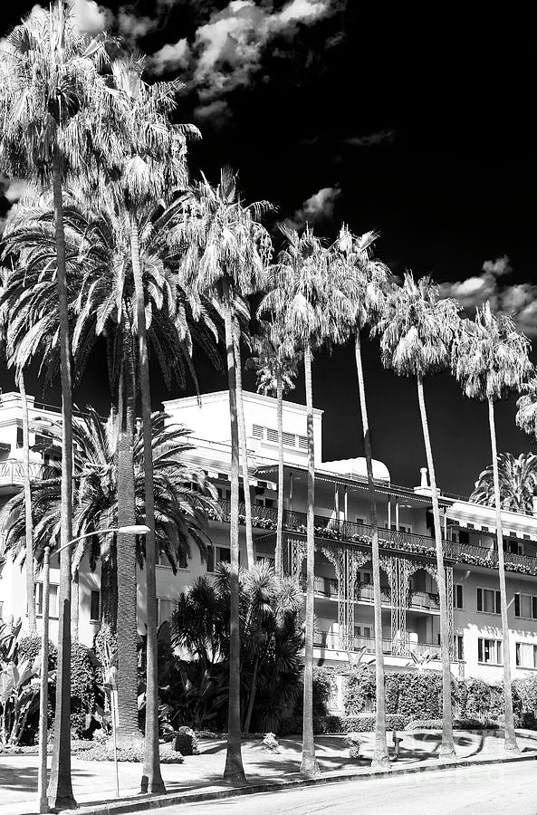 Los Angeles Photograph - Beverly Hills Hotel by John Rizzuto