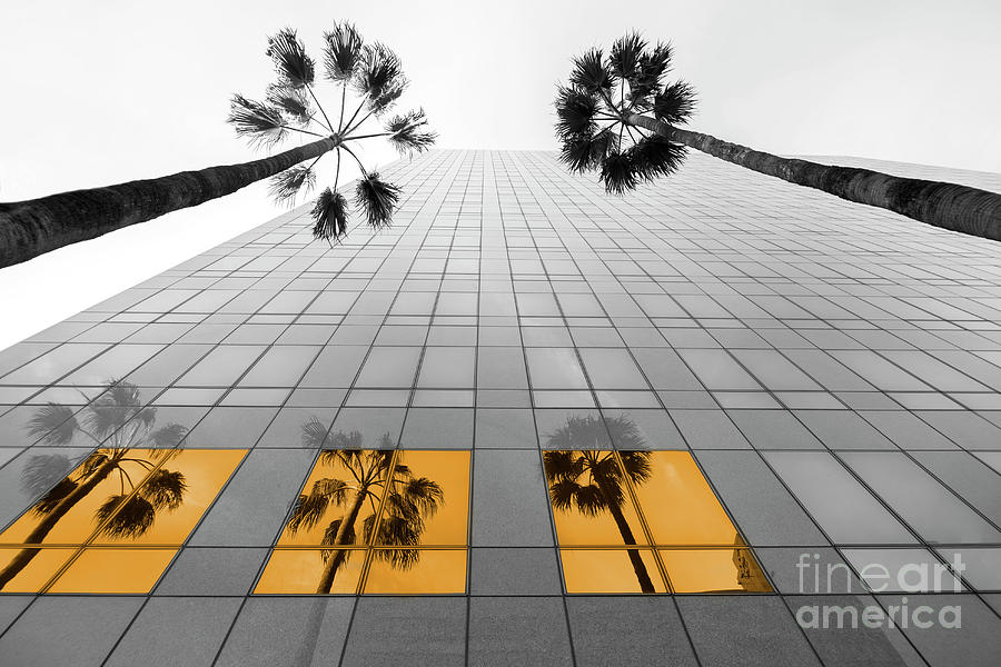Beverly Hills Photograph - Beverly Hills Reflections by Elisabeth Lucas