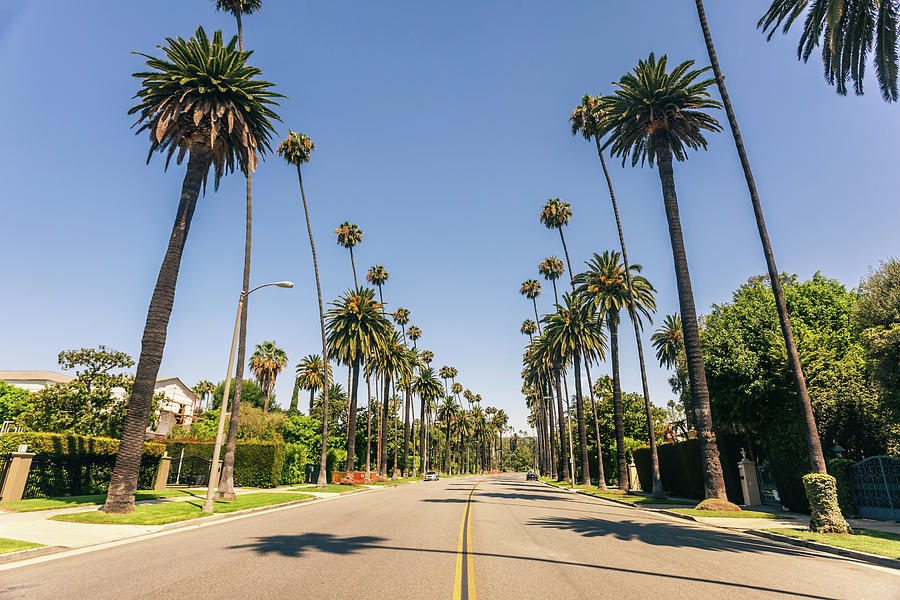 Beverly Hills Street Photograph