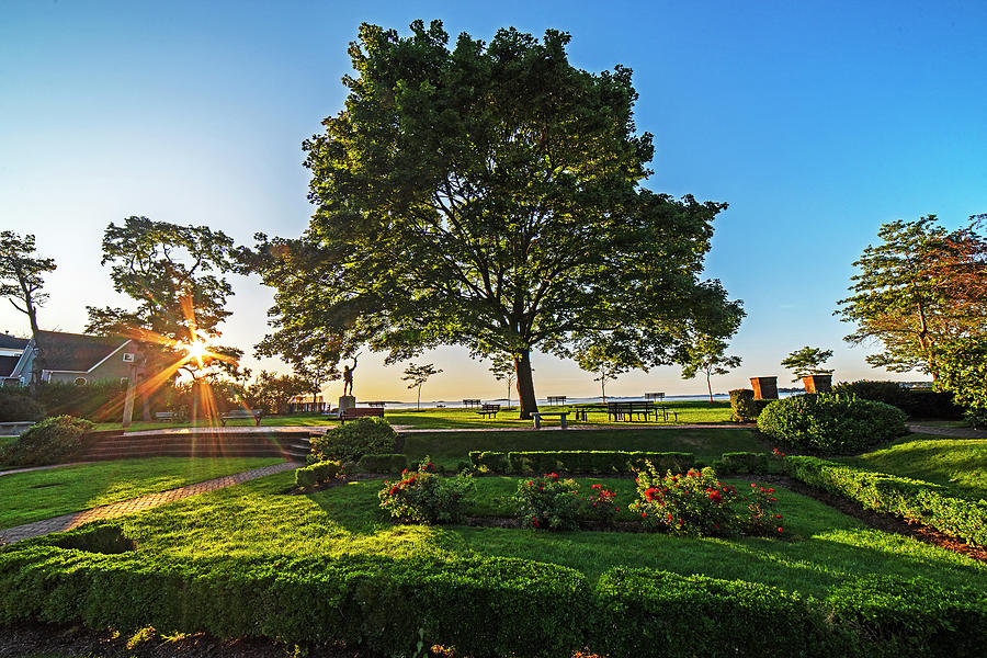 Beverly MA Lynch Park Wide View Sunrise Morning Light Tree Photograph by Toby McGuire