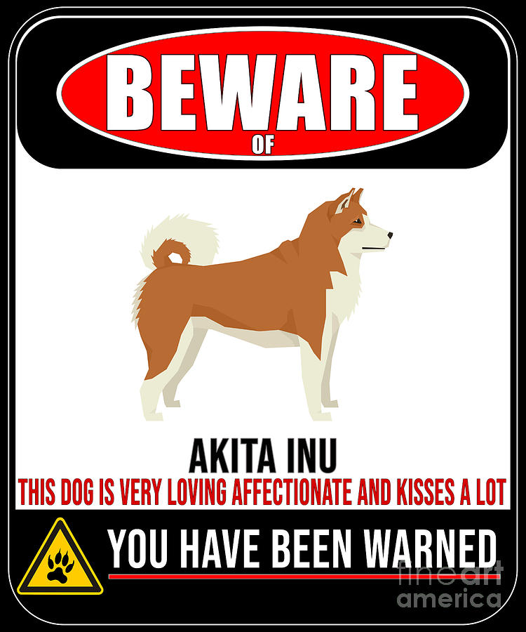 are akita dogs affectionate