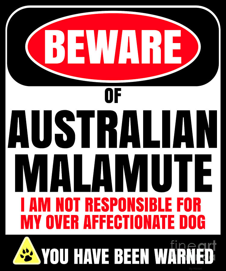 Dog Digital Art - Beware Of Australian Malamute I Am Not Responsible For My Over Affectionate Dog You Have Been Warned by Jose O