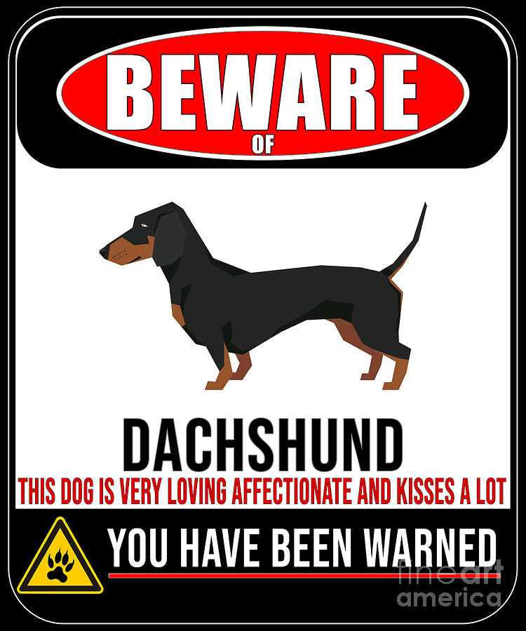 beware of dachshund sign