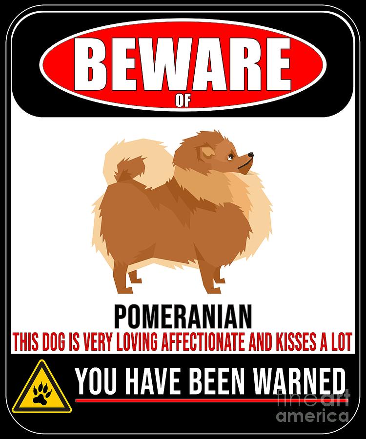 are pomeranians affectionate