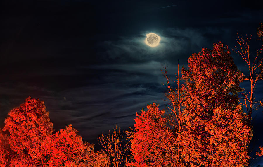 Beware Of The Full Moon In March Beware The Full Moon Photograph by R Scott Photography | Fine Art America