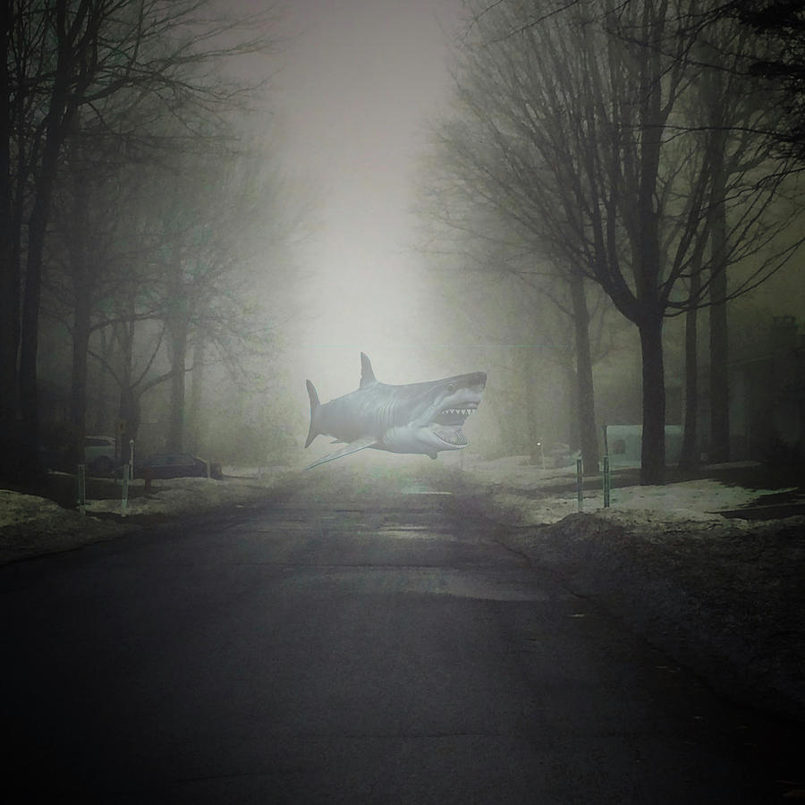 Beware The Sea Fog Bliss Beware The Sea Fog by Mario MJ Perron Beware The Sea Fog Bliss Beware The Sea Fog by Mario MJ Perron