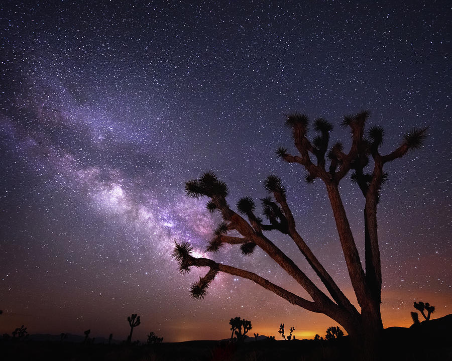 Beyond The Invisible Photograph by Chris Moore - Exploring Light Photography