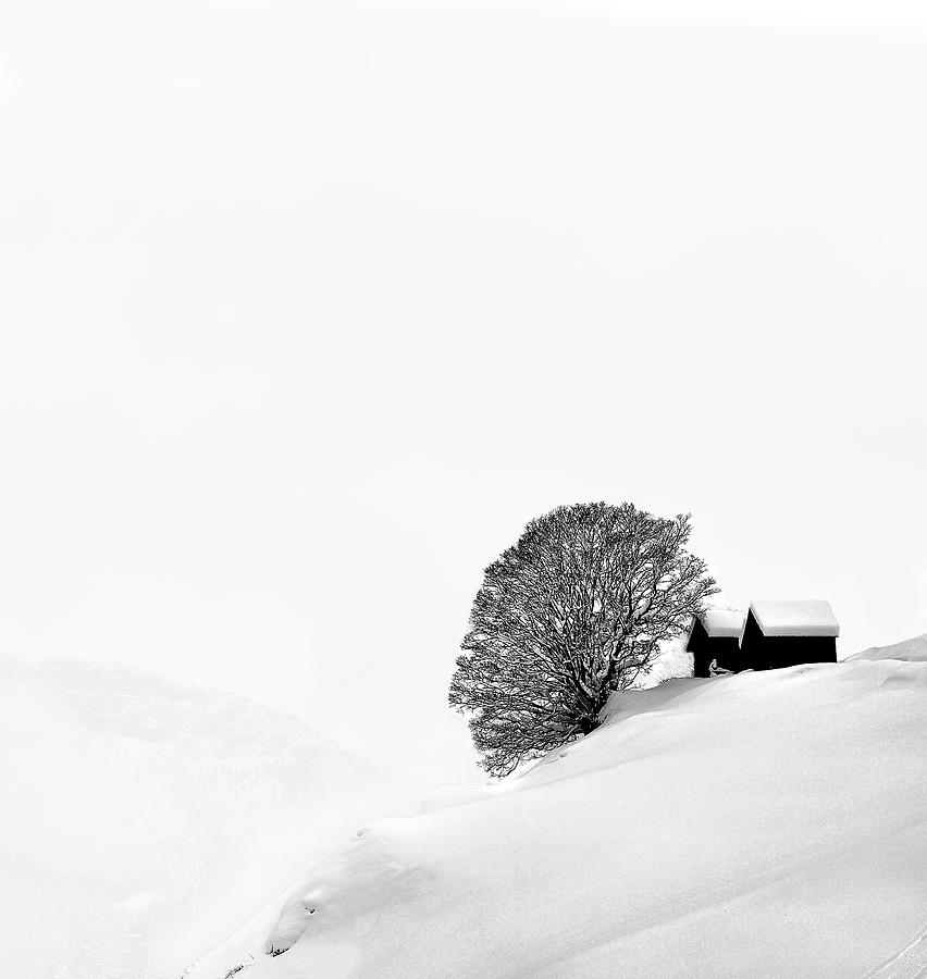 Winter Photograph - Beyond The Nothingness by Andrea Auf Dem Brinke