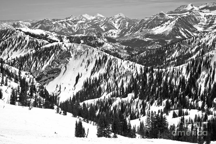 Beyong Mineral Basin Black And White Photograph by Adam Jewell