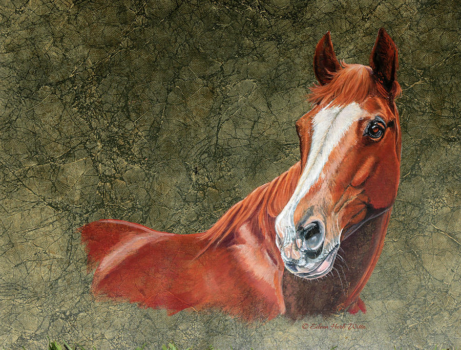 Horse Painting - Bh Horse by Eileen Herb-witte