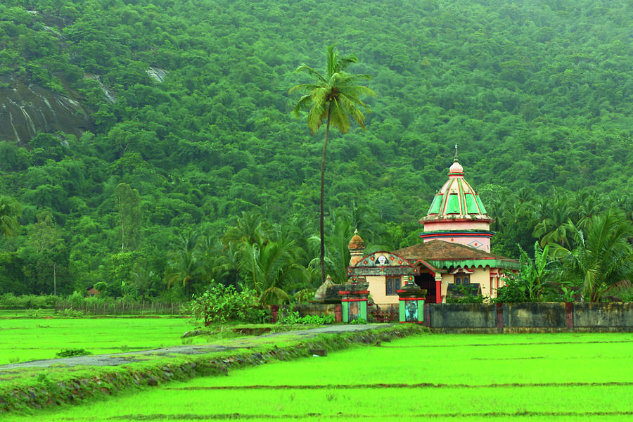 Bhoomi Devi Temple- Chendia-karnataka Photograph by Rbb