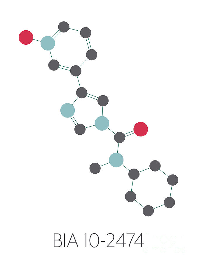 Bia 10-2474 Experimental Drug Molecule Photograph by Science Photo Library Bia 10-2474 Experimental Drug Molecule Photograph by Science Photo Library
