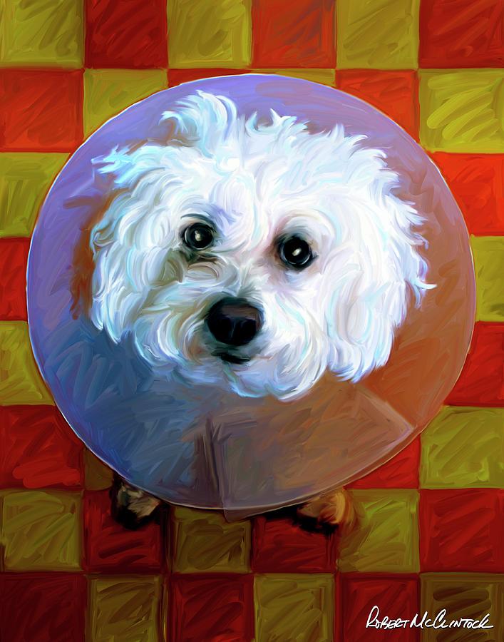 Dog Painting - Bichon by Robert Mcclintock