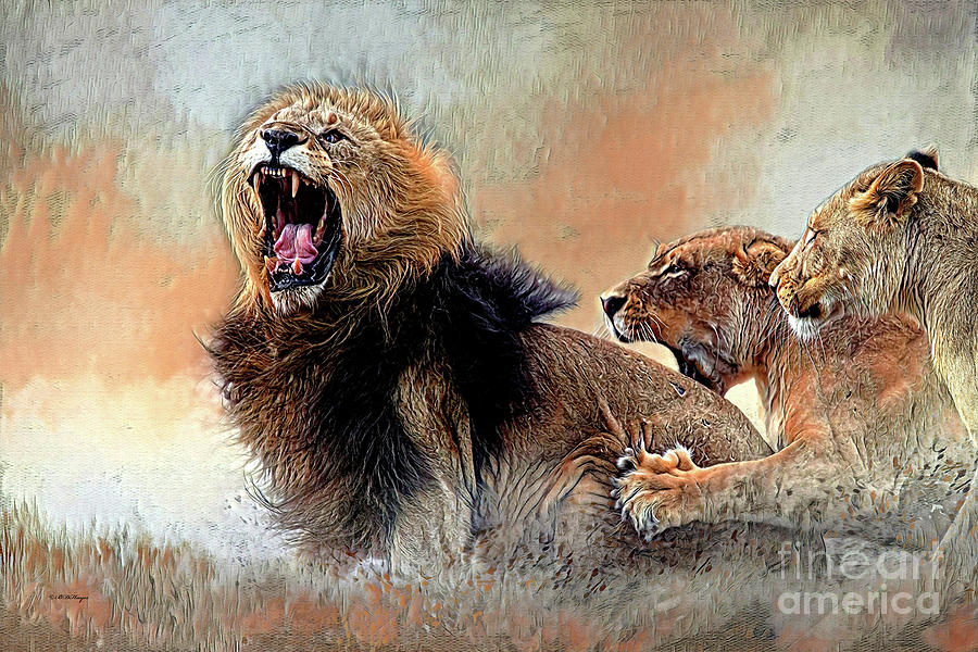 Bickering Three by DBHayes Bickering Three by DBHayes
