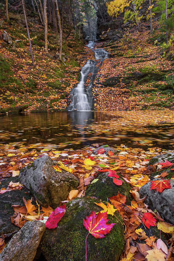 Bickford Slides Autumn Photograph by White Mountain Images