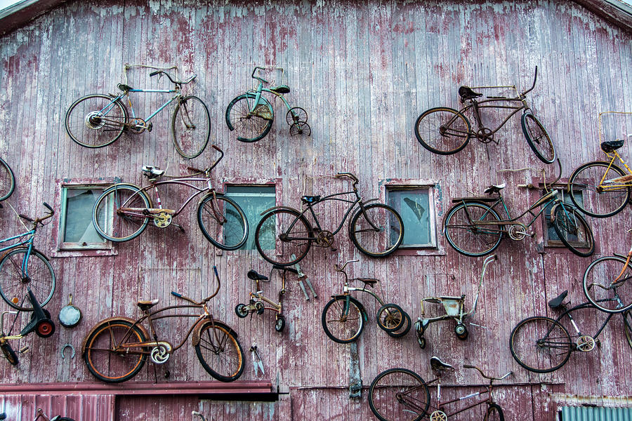 the bicycle barn