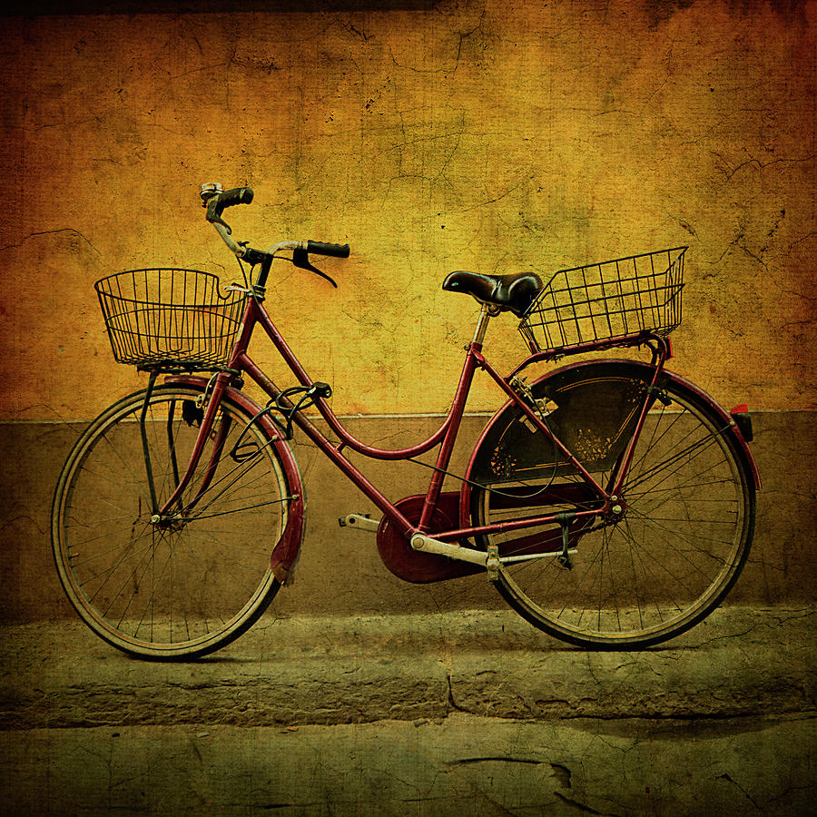 Bicycle In Florence Photograph by Michael Kiedyszko