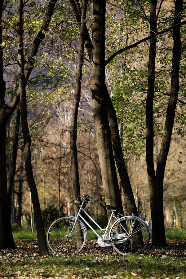 Bicycle Park Autumn Photograph by Deimagine