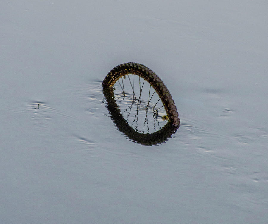 Bicycle Wheel in the River Liffey - Dublin Ireland Photograph by Bill Cannon