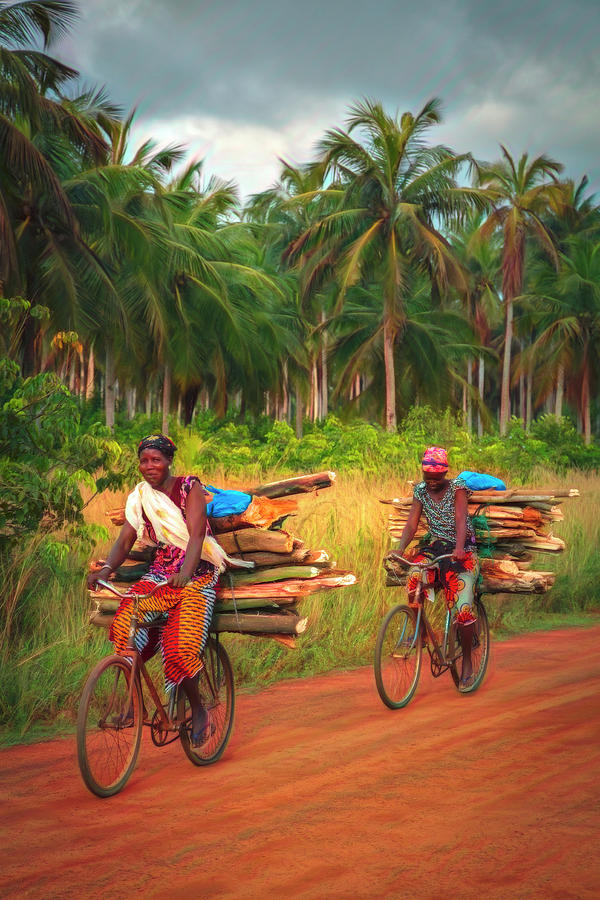Bicycling to Market Watercolor Painting Photograph by Debra and Dave Vanderlaan