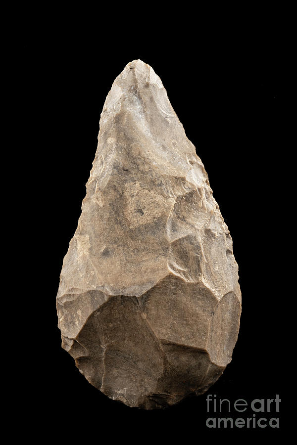 Biface Stone Tool Photograph by Philippe Psaila/science Photo Library