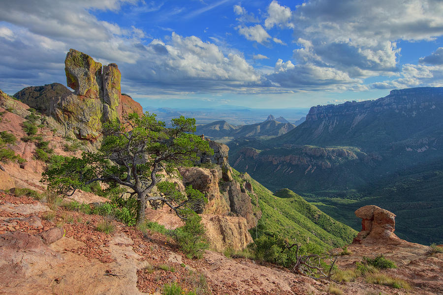 Big Bend Lost Mine Trail 107-1 Photograph by Rob Greebon - Fine Art America