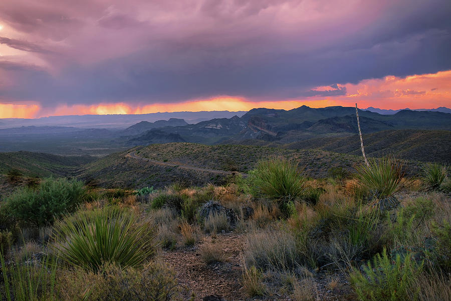 Texas Big bend Stormy Late Afternoon Photograph by Harriet Feagin