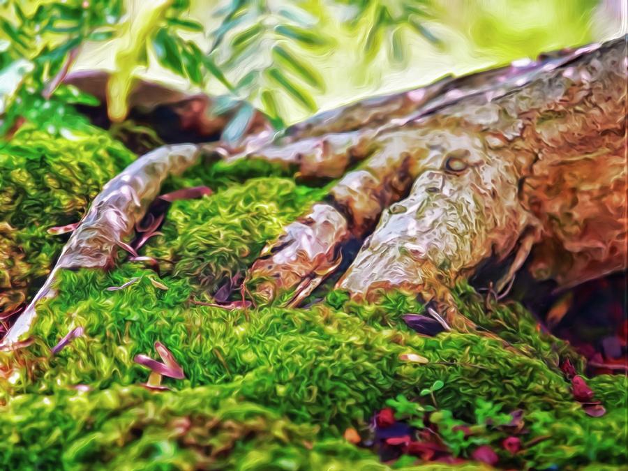 Big Bonsai Foot Digital Art by Doctor MEHTA Big Bonsai Foot Digital Art by Doctor MEHTA