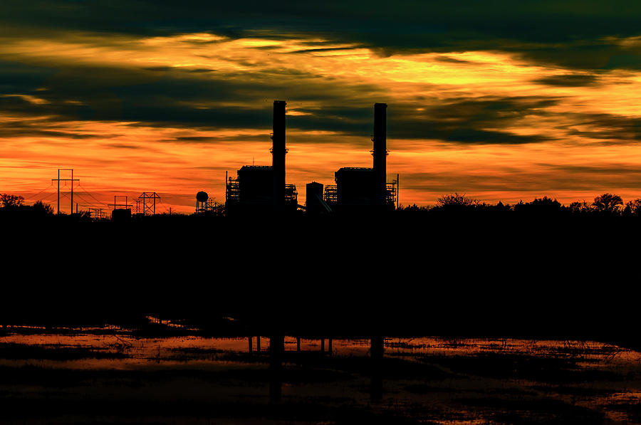 Big Brown Photograph - Big Brown by Jason Walthall Big Brown Photograph - Big Brown by Jason Walthall