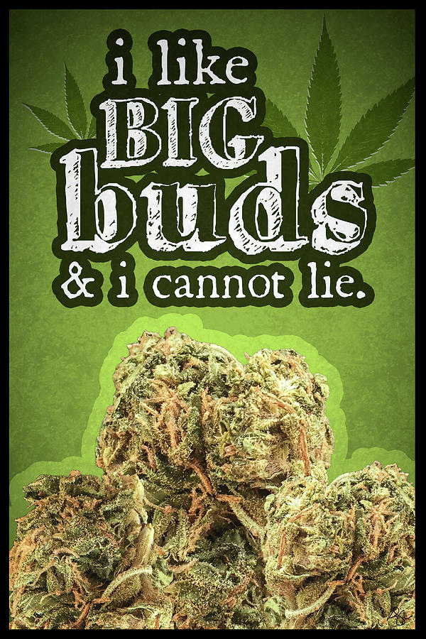 Pot Mixed Media - Big Buds by Kimberly Glover