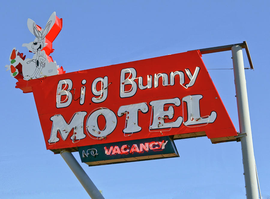 Big Bunny Motel by Matthew Bamberg Big Bunny Motel by Matthew Bamberg