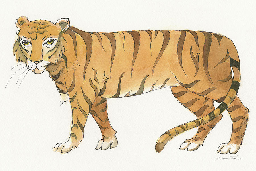 Animal Painting - Big Cats Iv by Miranda Thomas