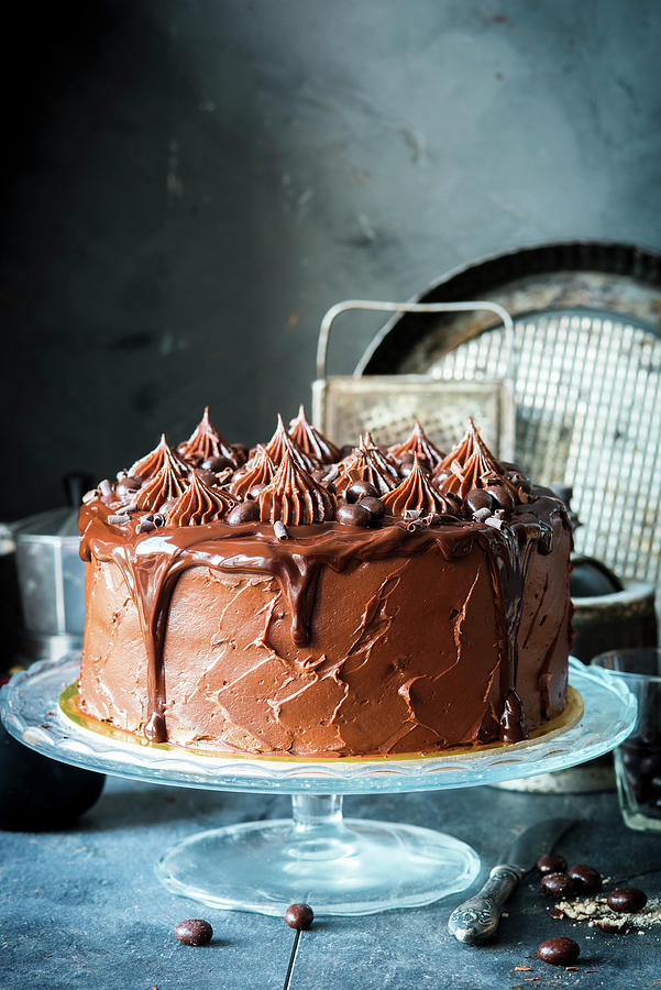 Big Chocolate Cake Photograph by Irina Meliukh