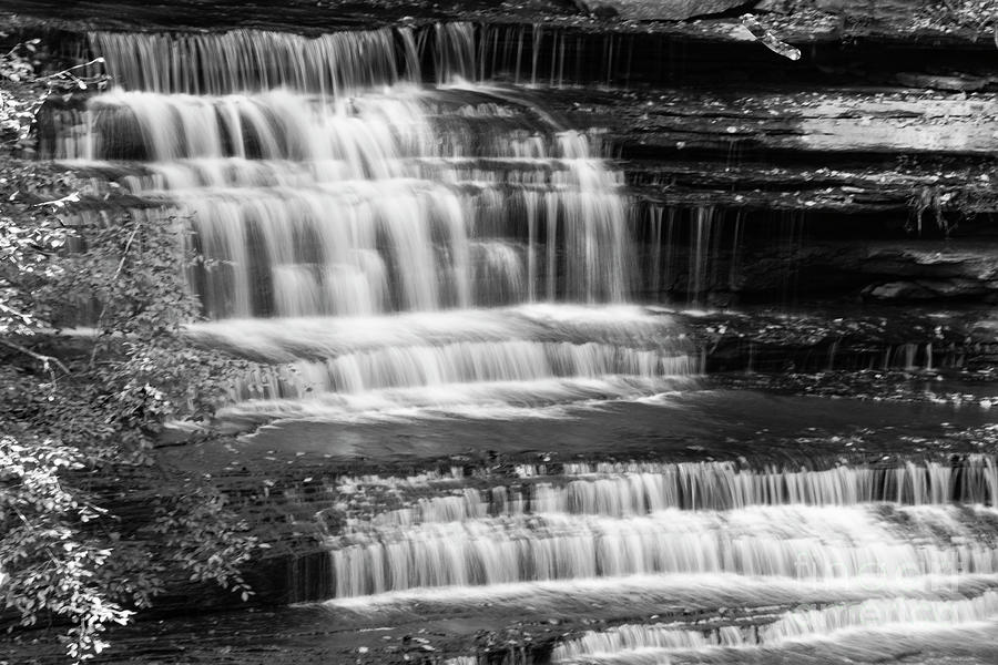 Big Clifty Falls 2 Photograph by Bob Phillips