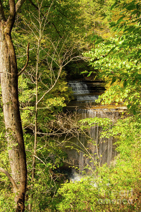 Big Clifty Falls Landscape One Photograph by Bob Phillips
