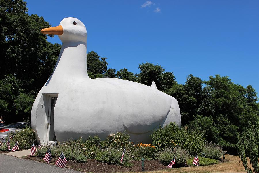 Big Duck Photograph by David Zuhusky