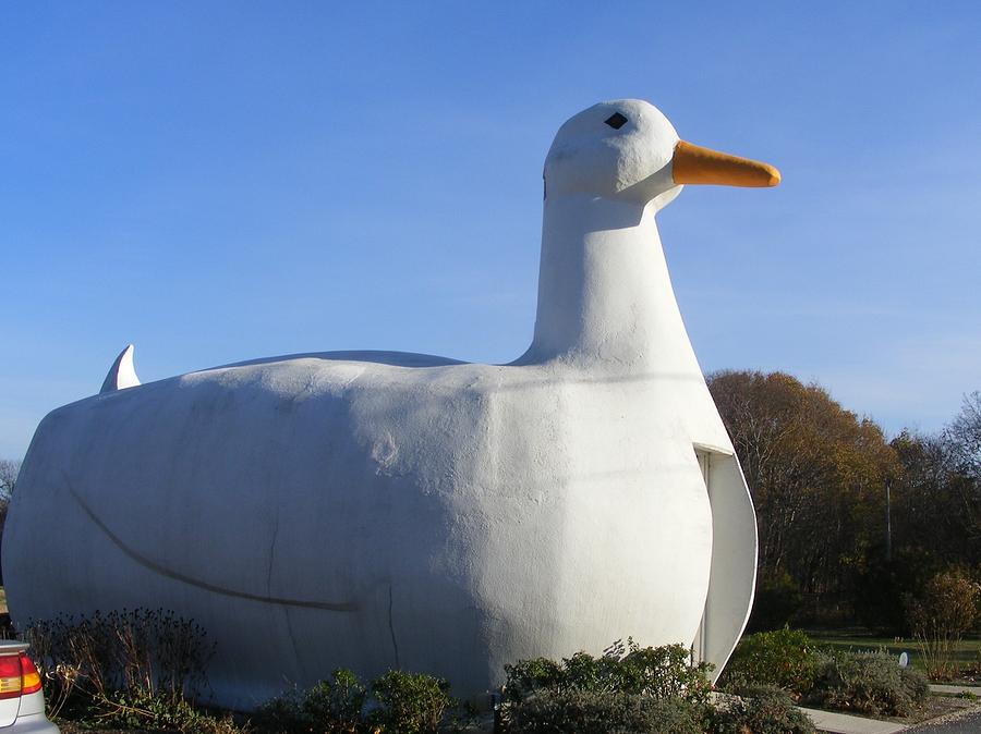 Big Duck Photograph by Michael Brittingham - Fine Art America